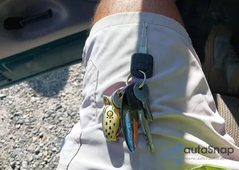 1996 Ford F150 из США, поврежденный, VIN 1FTEF15NXTLA87584